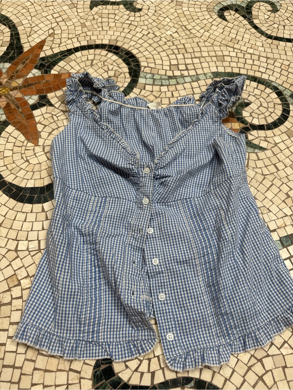 Brandy Melville Blue Gingham Ruffle Button-Front Camisole
